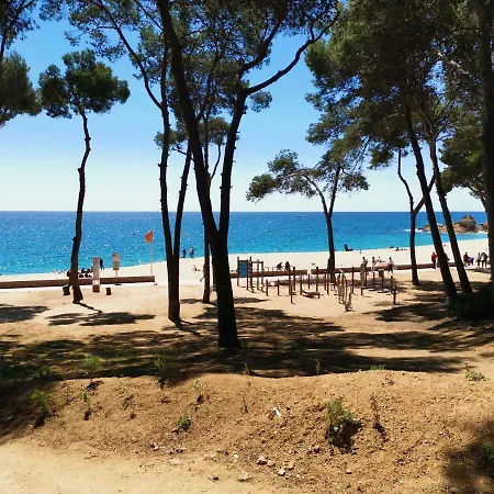 Apartmán Apartamento Playa Fenals-tulipan 1 Lloret de Mar