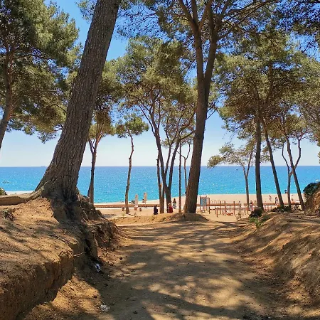 Apartamento Playa Fenals-tulipan 1 * 료렛 드 마르