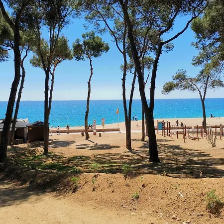 Apartamento Playa Fenals-tulipan 1 아파트 *